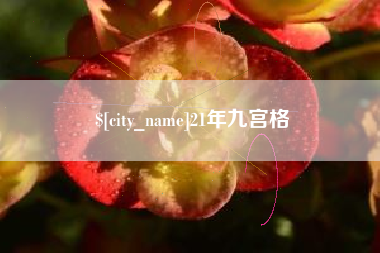 枣阳21年九宫格