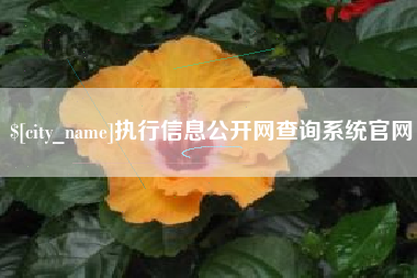 枣阳执行信息公开网查询系统官网