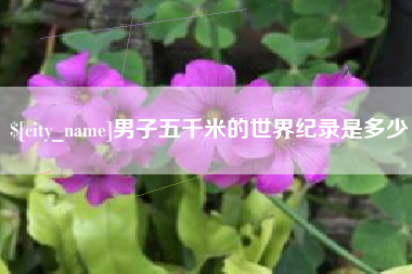 枣阳男子五千米的世界纪录是多少