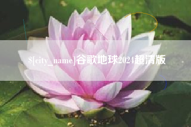 枣阳谷歌地球2024超清版