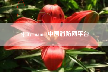 枣阳中国消防网平台