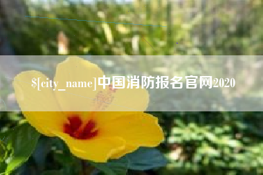 枣阳中国消防报名官网2020