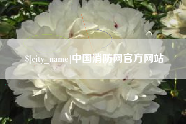 枣阳中国消防网官方网站
