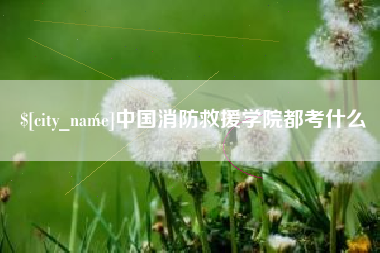 枣阳中国消防救援学院都考什么