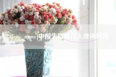 枣阳中国失信执行人查询官网