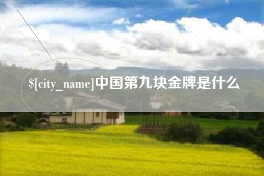 枣阳中国第九块金牌是什么