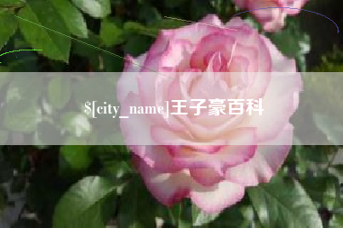 枣阳王子豪百科