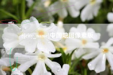 枣阳中国地图像素版