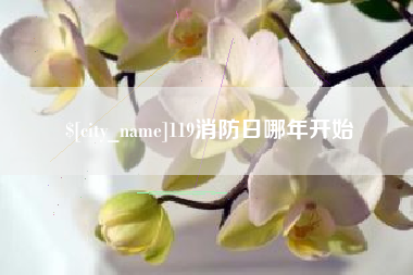 枣阳119消防日哪年开始