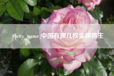 枣阳中国有哪几枚金牌得主