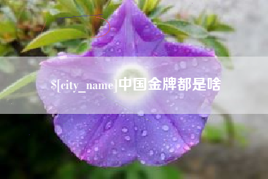 枣阳中国金牌都是啥