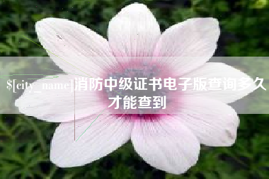 枣阳消防中级证书电子版查询多久才能查到