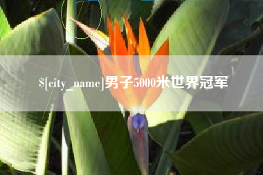 枣阳男子5000米世界冠军