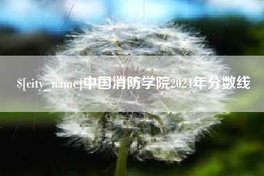 枣阳中国消防学院2024年分数线