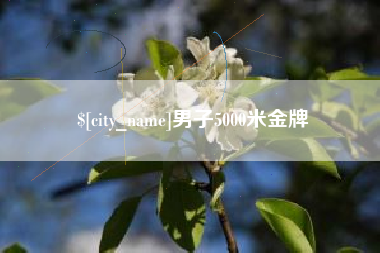 枣阳男子5000米金牌