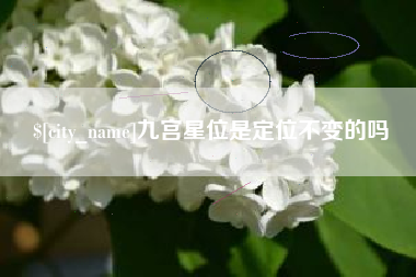 枣阳九宫星位是定位不变的吗