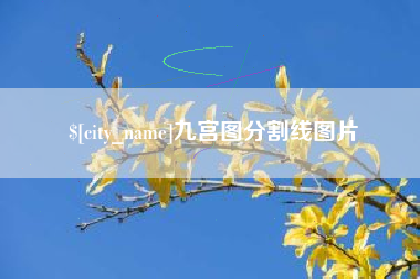 枣阳九宫图分割线图片