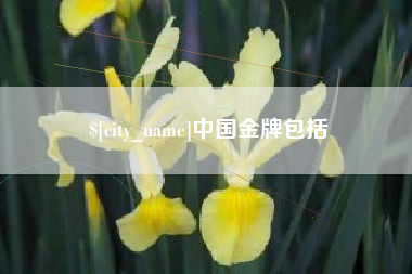枣阳中国金牌包括