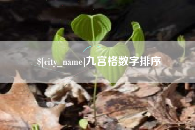 枣阳九宫格数字排序