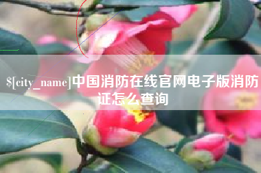 枣阳中国消防在线官网电子版消防证怎么查询