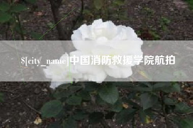 枣阳中国消防救援学院航拍