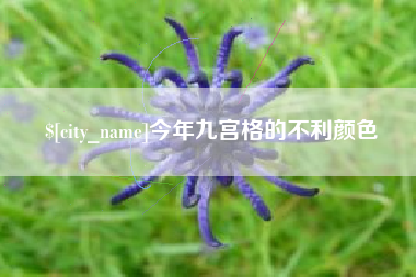 枣阳今年九宫格的不利颜色
