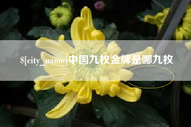 枣阳中国九枚金牌是哪九枚