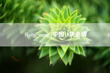 枣阳中国19块金牌
