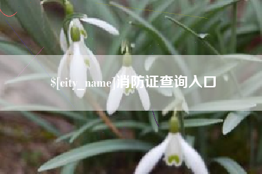 枣阳消防证查询入口