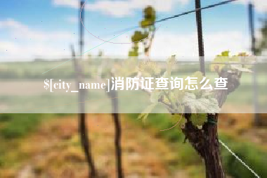枣阳消防证查询怎么查
