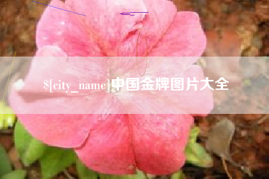 枣阳中国金牌图片大全