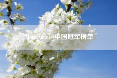 枣阳中国冠军榜单