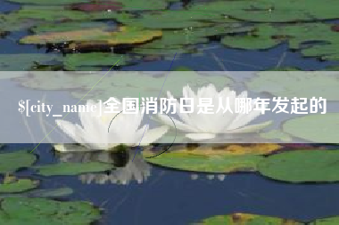 枣阳全国消防日是从哪年发起的