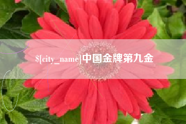 枣阳中国金牌第九金