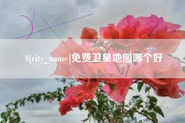 枣阳免费卫星地图哪个好