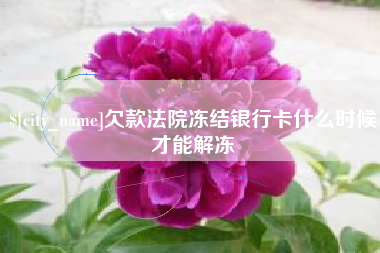 枣阳欠款法院冻结银行卡什么时候才能解冻