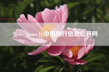枣阳1.中国执行信息公开网