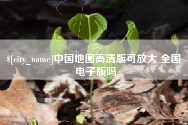枣阳中国地图高清版可放大 全国 电子版吗
