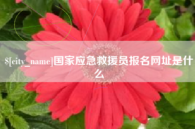 枣阳国家应急救援员报名网址是什么