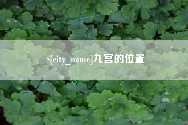 枣阳九宫的位置