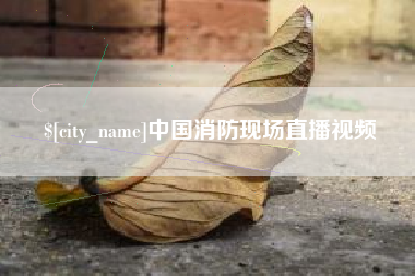 枣阳中国消防现场直播视频