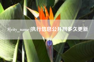 枣阳执行信息公开网多久更新