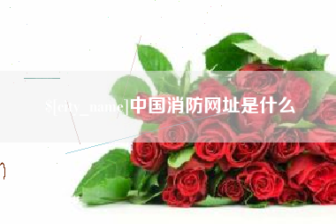 枣阳中国消防网址是什么