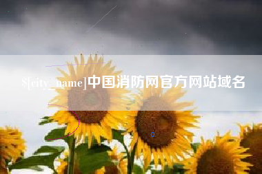 枣阳中国消防网官方网站域名