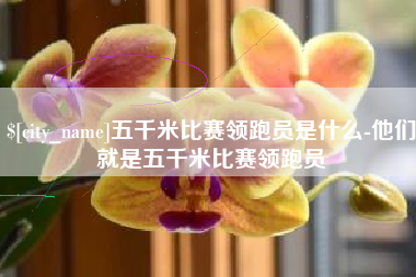 枣阳五千米比赛领跑员是什么-他们就是五千米比赛领跑员