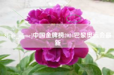 枣阳中国金牌榜2024巴黎奥运会最新