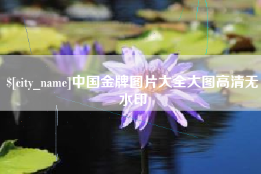 枣阳中国金牌图片大全大图高清无水印