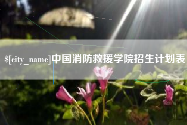 枣阳中国消防救援学院招生计划表