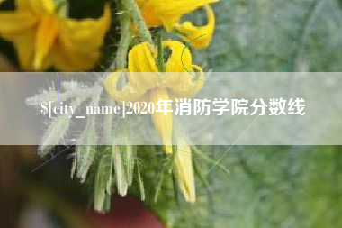 枣阳2020年消防学院分数线