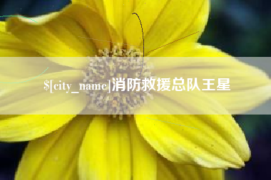 枣阳消防救援总队王星